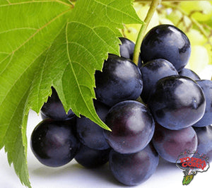 FLO002 - Bulk Grape (Medium Grade) - Floss Sugar - 33LB Box - Poppa Corn Corp